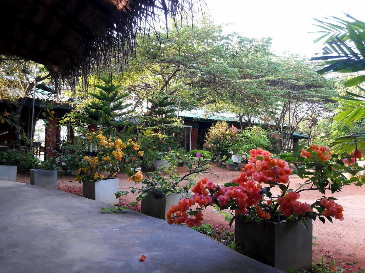 Sunshine Resort & Spa Sigiriya Exteriér fotografie